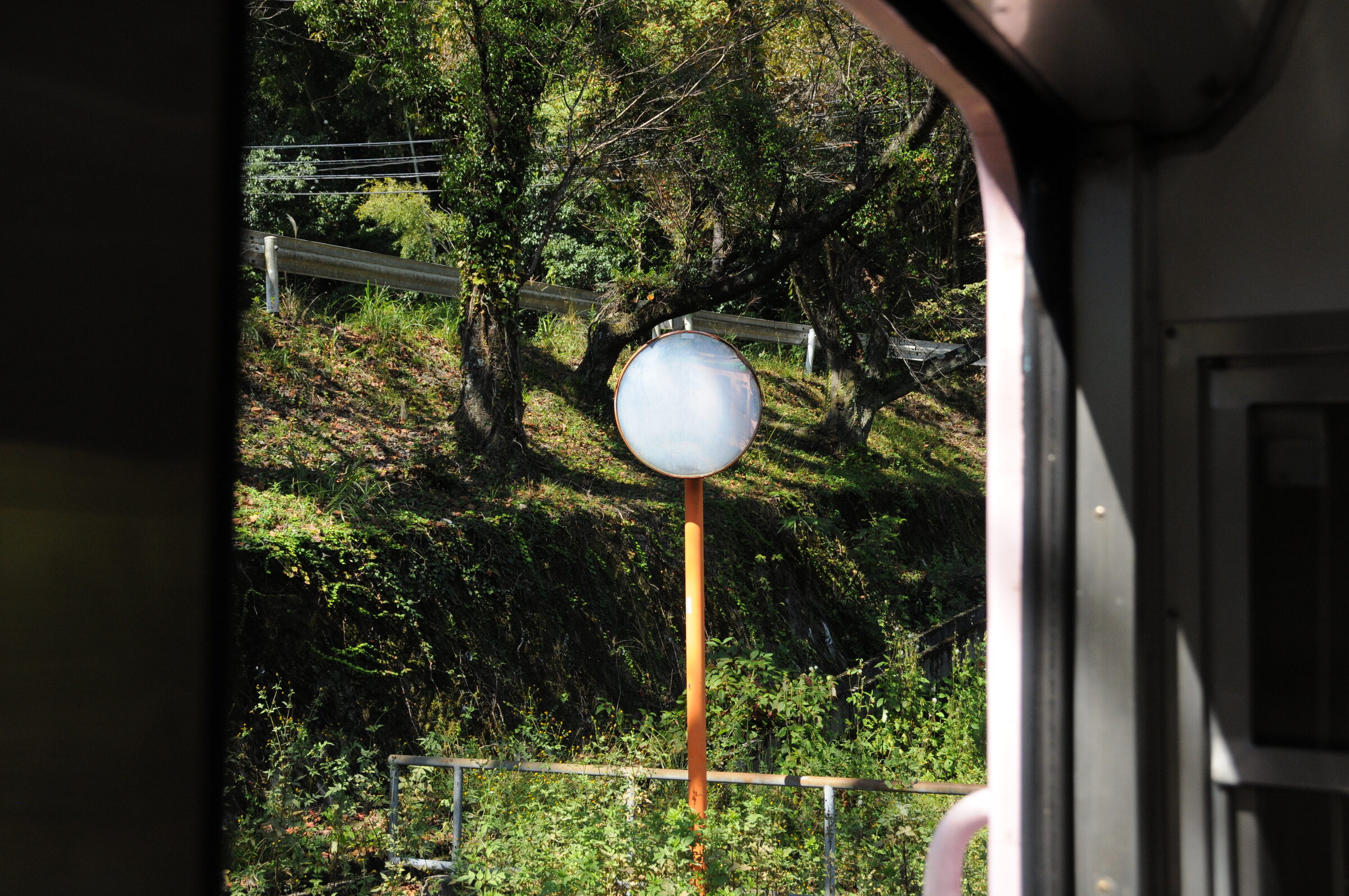 車窓を流れる木々と空