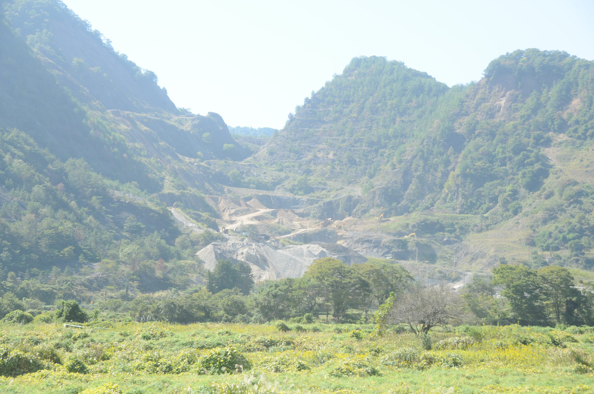本巣のあたりの平野。黄金色の田んぼの向こうに山並みが見える