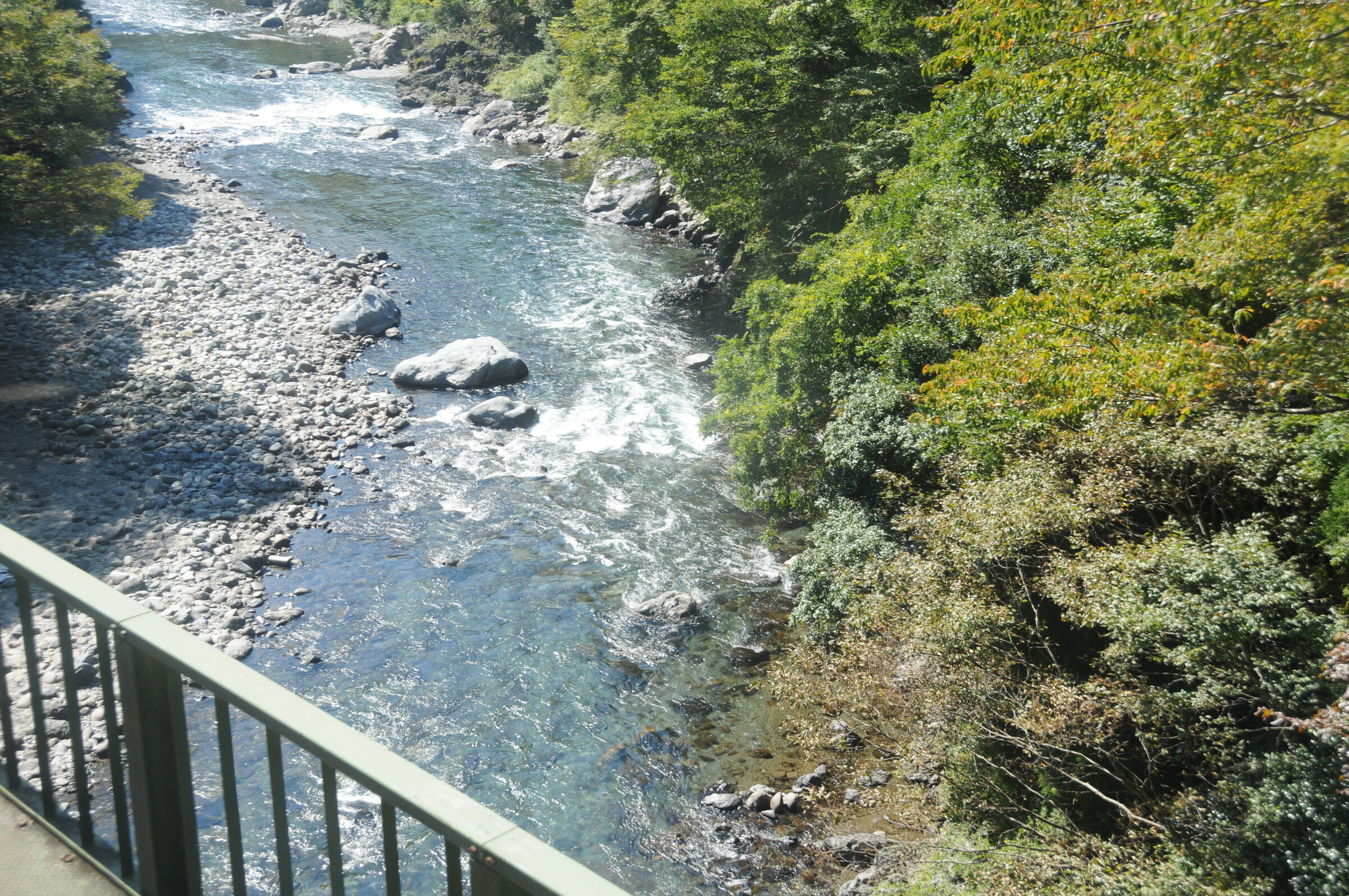 鉄橋の上から見下ろした、澄んだ根尾川の流れ